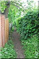 Footpath, Battledown Estate