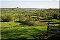 View over the Luppitt valley