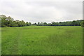 Grassy meadow near Hewletts Reservoir