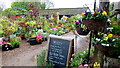 Grange Farm Nurseries