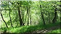 Path beside the Tay