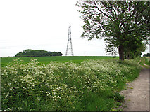 TL5762 : Electricity pylon in field by Cadenham Farm by Evelyn Simak