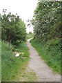 Footpath - end of Chellow Grange Road