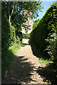 Corton Denham: church path