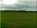 Playing fields, Irvine