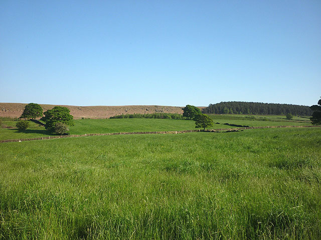 Lush grassland above Chatsworth Edge