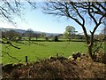 View out of Millstone Wood