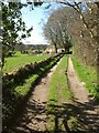 Bridleway past Braisty Woods