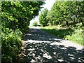 The lane south of Moneystone