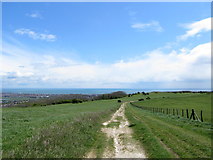 TQ5700 : National Trail approaching Eastbourne Downs by Chris Heaton