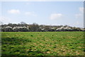 Grassland, Lower Toat Farm