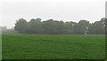 Arable land, Coaltown of Wemyss