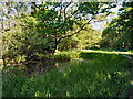 Manchester, Bolton and Bury Canal, Prestolee