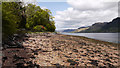 Shore of Loch Duich at Ratagan