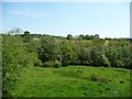 Wooded valley below pasture field