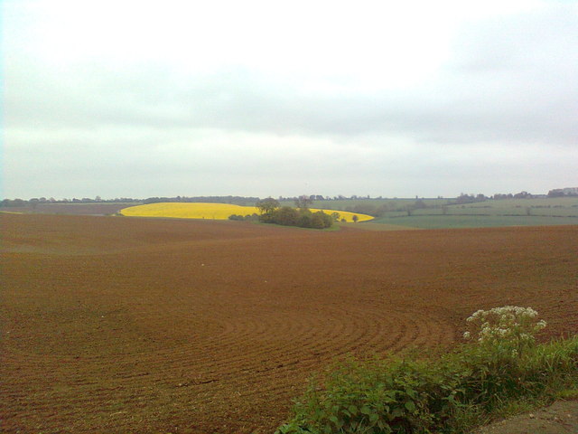 View from the Stour Well road