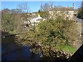 Nidd at Summerbridge