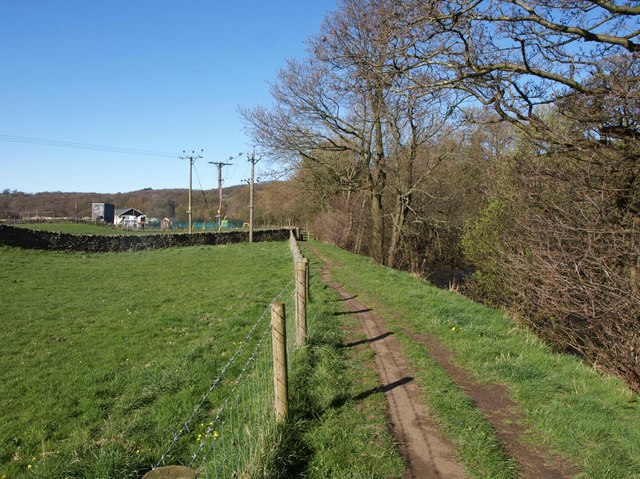Riverside path approaching Summerbridge