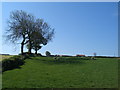 Looking towards Ox Close Farm