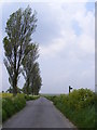 Church Road & the footpath to Bloodmoor  Lane