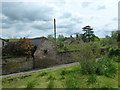 All Saints, Tarrant Keyneston: churchyard (f)