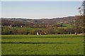 View from Stocks Green