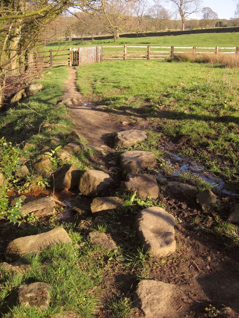 Nidderdale Way near Darley © Derek Harper cc-by-sa/2.0 :: Geograph ...