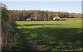 Farmland by the Nidd