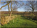 Bridleway near Birchfield Farm