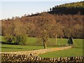 Wall in Nidd valley