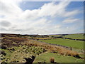 NY9648 : View from the roadside near Abbey Weathers by Robert Graham