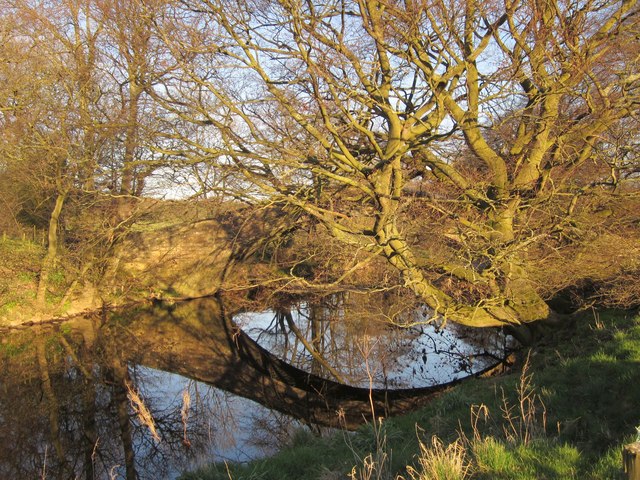 New Bridge, Birstwith © Derek Harper :: Geograph Britain and Ireland