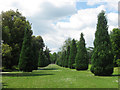 SP9911 : Yet another avenue in the gardens at Ashridge House by Chris Reynolds