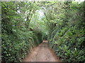 Hill Lane, Carhampton