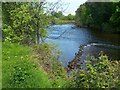 Weir on the River Leven