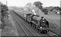 Charing Cross - Folkestone express near Paddock Wood