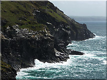 SX0588 : Cliffs near Tintagel Head by Chris Gunns