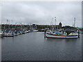 Marina, Albert Edward Dock