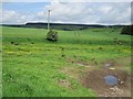 Farmland, Strathendrick