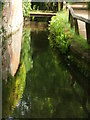 Shallow stream to one side of the Ridgeway south of Wendover