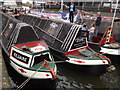 Narrowboats Muster Point, Thames Pageant