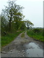 Track on the alignment of the Roman Road from Ribchester