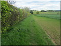 1066 Country Walk beside Wartling Wood