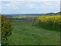 Countryside view south of Heightington