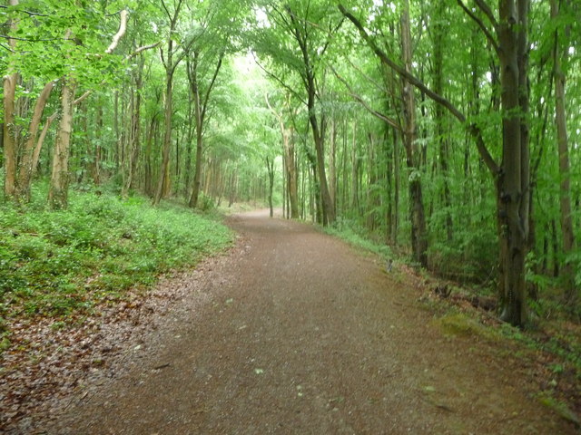 Part of the Taff Trail near Castell Coch