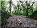 Ruined walls at former Pont-y-Clerc Colliery