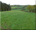 View across the Gladder Brook valley