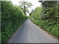 Lane From Much Hadham to Barwick Ford