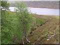 NH1059 : Allt Mor and Loch a' Chroisg by ian shiell