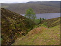 NH1059 : Mossy knoll by Allt Mor above Loch a' Chroisg by ian shiell